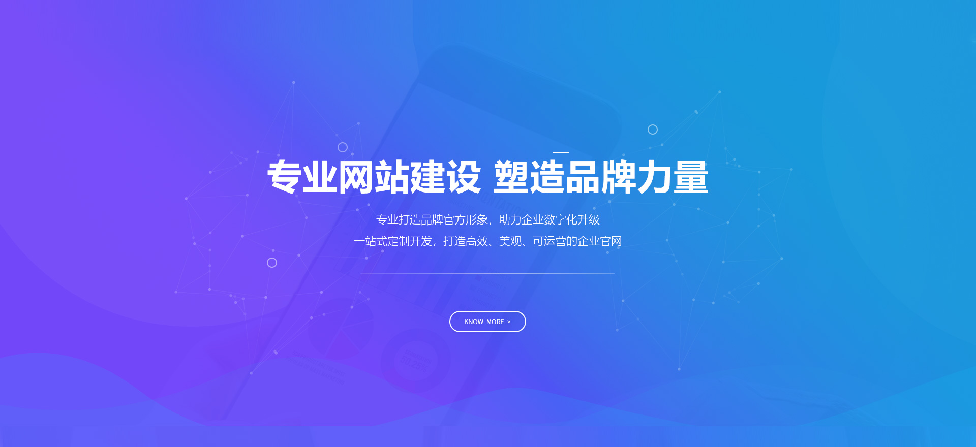 礼泉建站-专业网站建设 塑造品牌力量