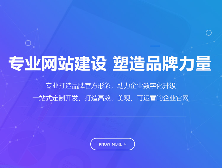 礼泉建站-专业网站建设 塑造品牌力量